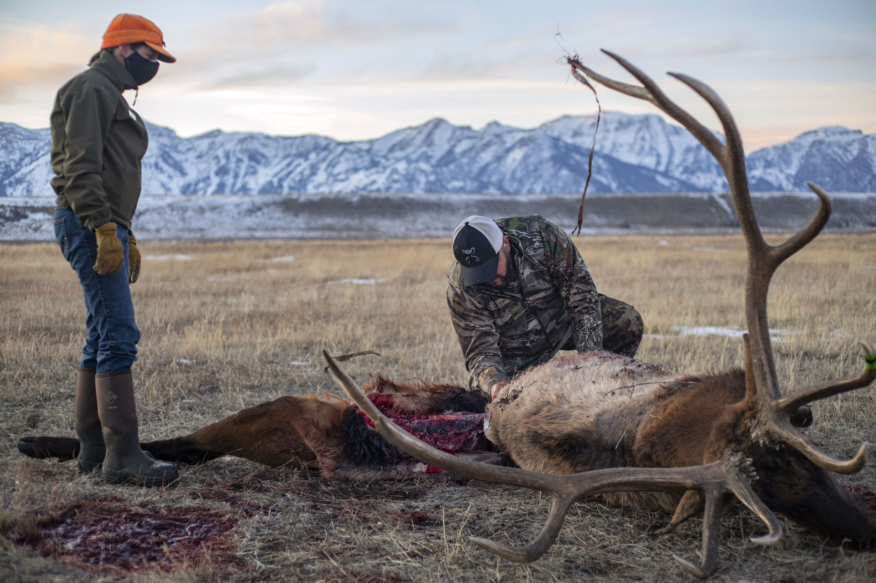 Youth Elk Hunt